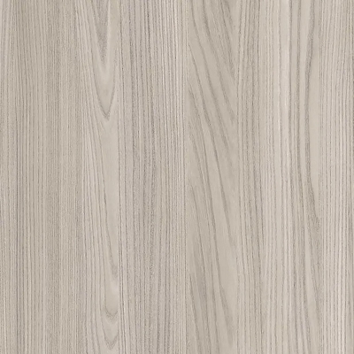 Grey Elm